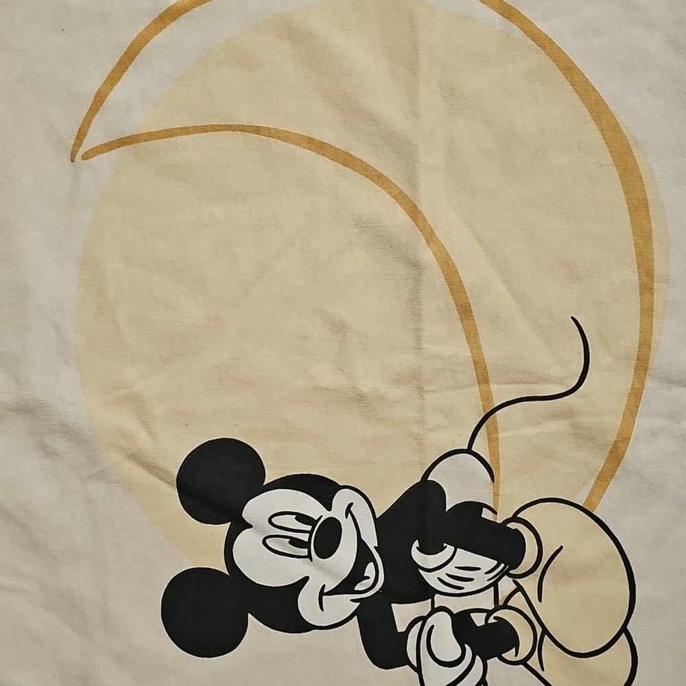 Disney Milestones Blanket - Great Used Condition - Very Clean, 30 x 40. - Picture 5 of 11